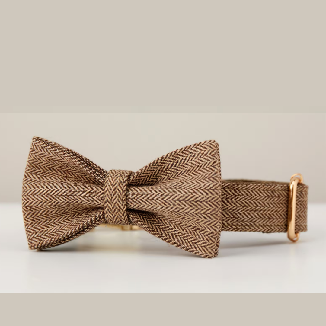 Timeless Tweed Dog Collar