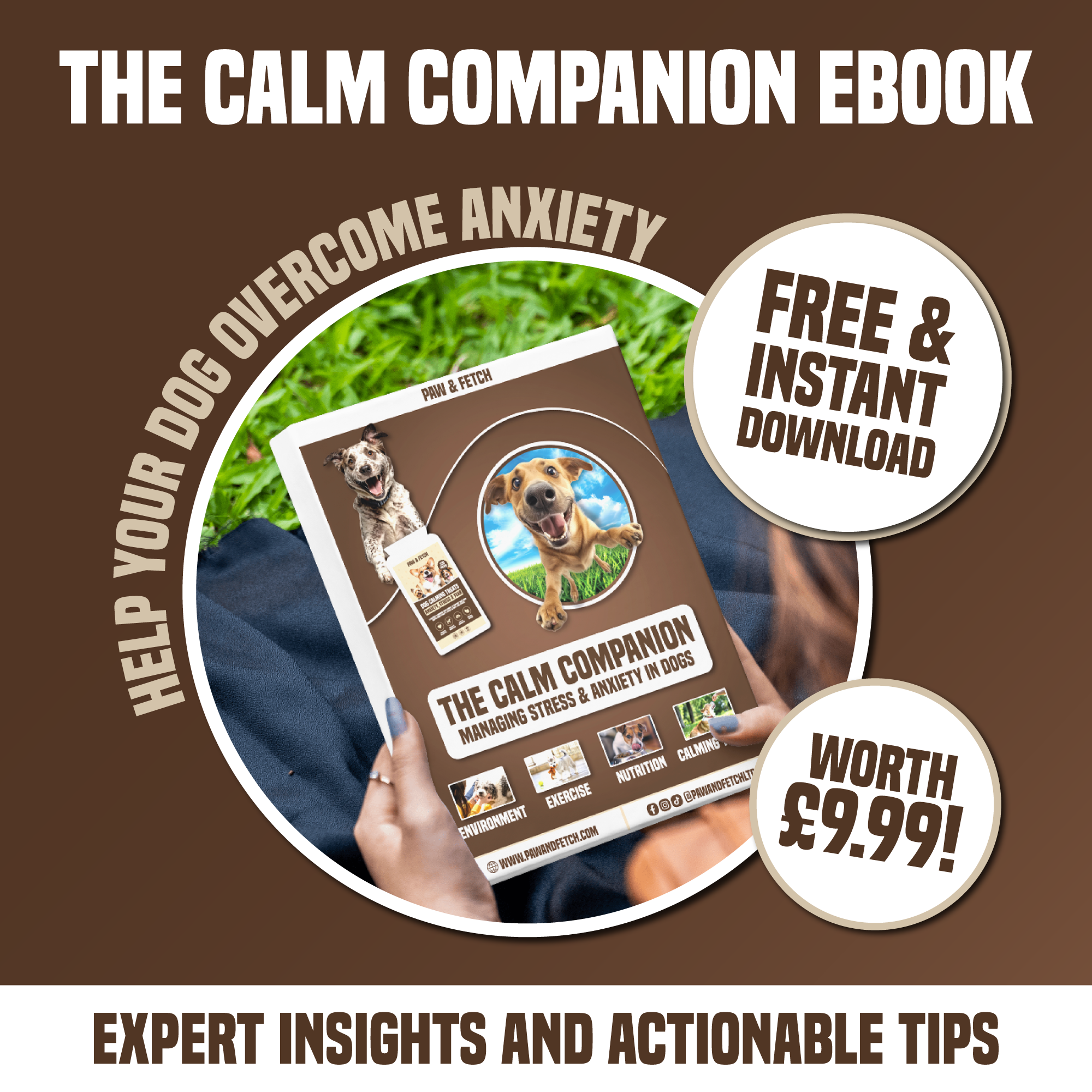 The Calm Companion | Managing Stress & Anxiety in Dogs: Free eBook!