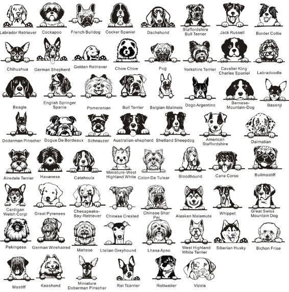 Prestige Round Personalised Dog ID Tag