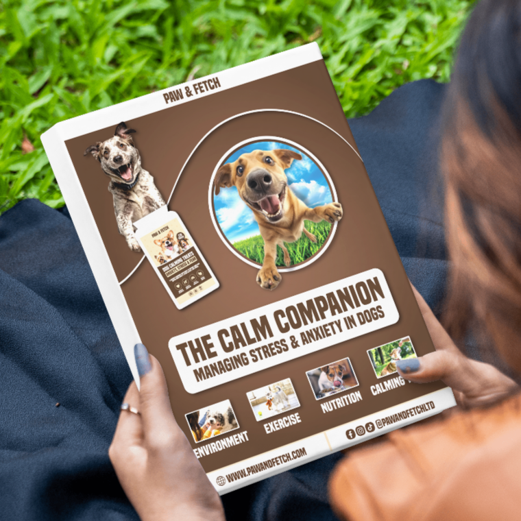 The Calm Companion | Managing Stress & Anxiety in Dogs: Free eBook!