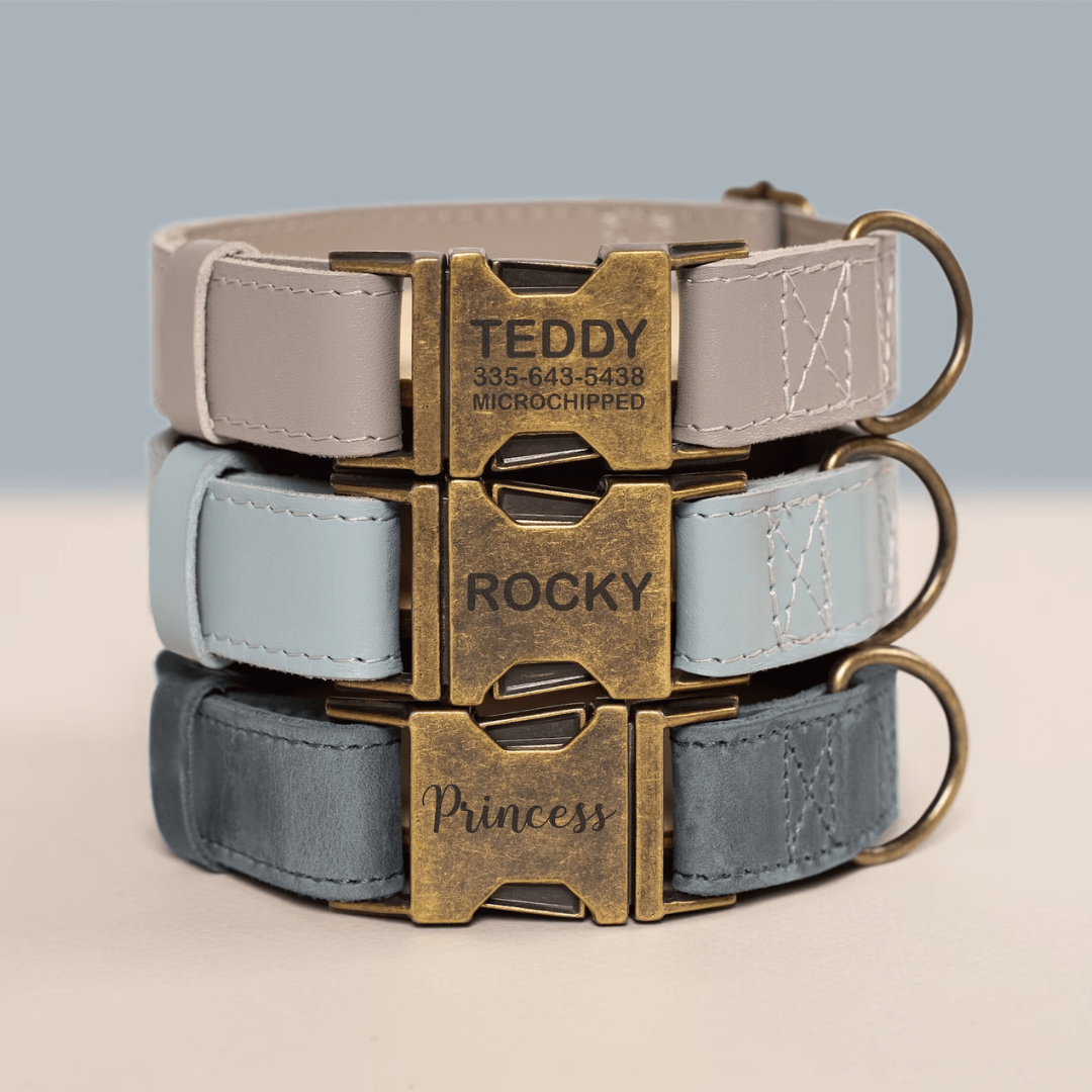 Rustic Luxury Dog Collar